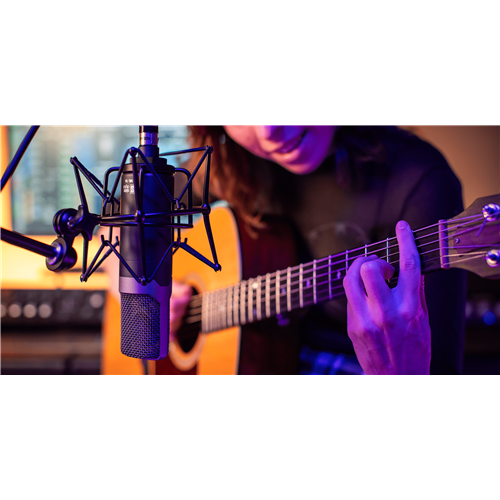 SD-ML-1A Artist_Guitarist